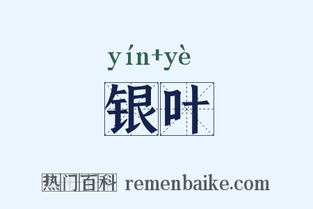 银叶是什么意思的图片